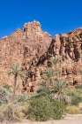 Saudi Arabia, Tabuk, Prince Mohammed bin Salman Natural Reserve. Wadi Al Disah. Art Print
